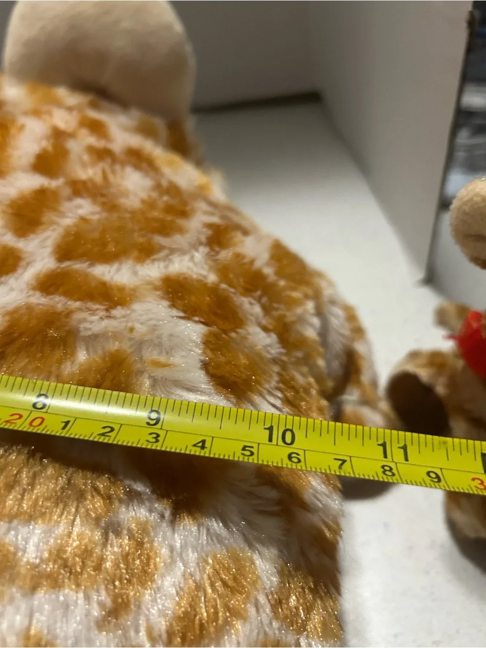 Ty adorable giraffe